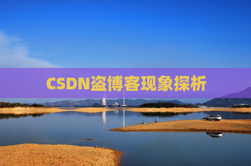 CSDN盗博客现象探析 CSDN盗博客现象探析